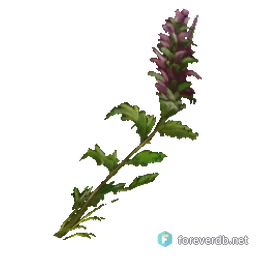 Therazane's Touch, rendered from the Forever client