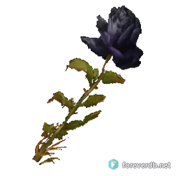 Black Rose, rendered from the Forever client