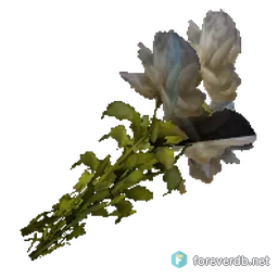 Bouquet of White Roses, rendered from the Forever client