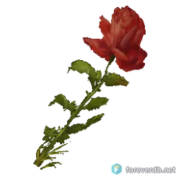 Red Rose, rendered from the Forever client