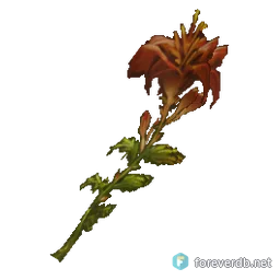Darkmoon Flower, rendered from the Forever client
