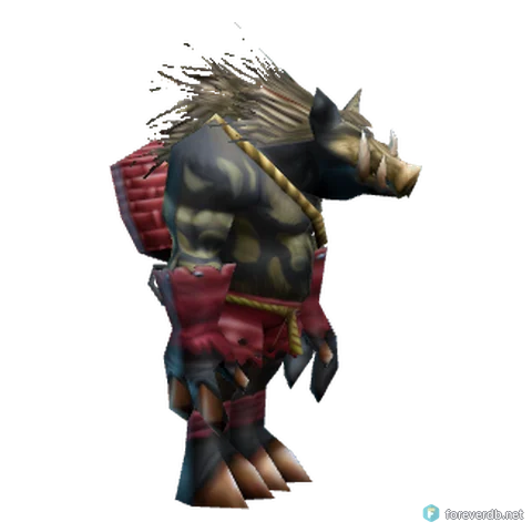 Aggem Thorncurse