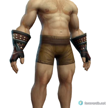 Heraldic Gloves worn by a human male, rendered from the Forever client