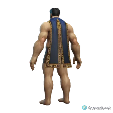 Arcane Cloak worn by a human male, rendered from the Forever client