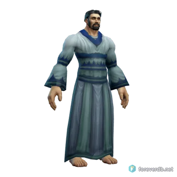 Seer's Robe worn by a human male, rendered from the Forever client
