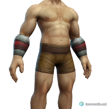 Bard's Bracers worn by a human male, rendered from the Forever client