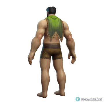 Forest Oracle's Cloak worn by a human male, rendered from the Forever client
