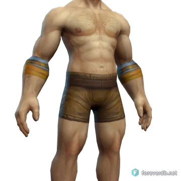 Ornate Bracers worn by a human male, rendered from the Forever client