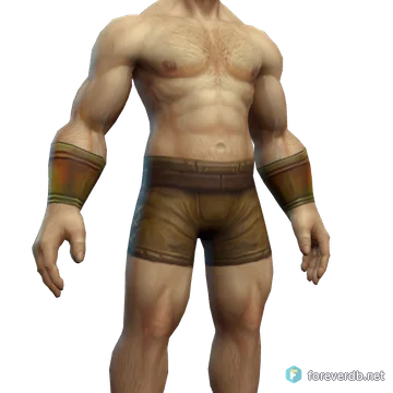 Sparkleshell Bracers worn by a human male, rendered from the Forever client