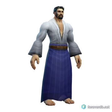 Journeyman's Robe worn by a human male, rendered from the Forever client