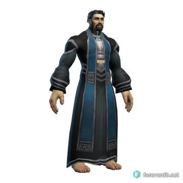 Arcane Robe worn by a human male, rendered from the Forever client