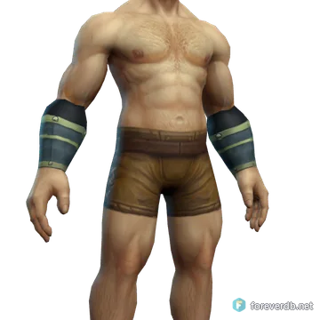 Traveler's Bracers worn by a human male, rendered from the Forever client