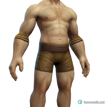 Protector Armguards worn by a human male, rendered from the Forever client