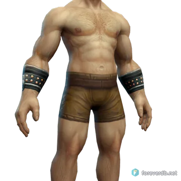 Heavy Scorpid Bracers worn by a human male, rendered from the Forever client
