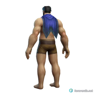 Brocade Cloak worn by a human male, rendered from the Forever client