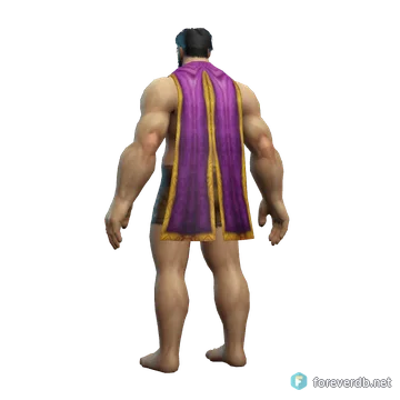 High Councillor's Cloak worn by a human male, rendered from the Forever client