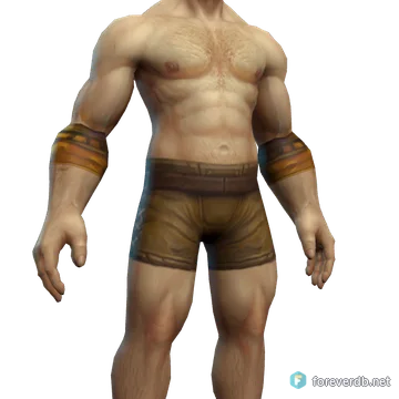 Masterwork Bracers worn by a human male, rendered from the Forever client