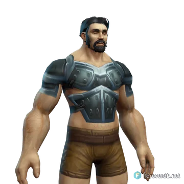 Heroic Armor worn by a human male, rendered from the Forever client