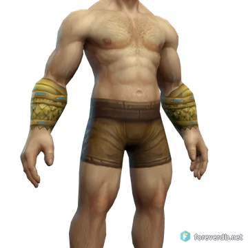 Burnished Bracers worn by a human male, rendered from the Forever client