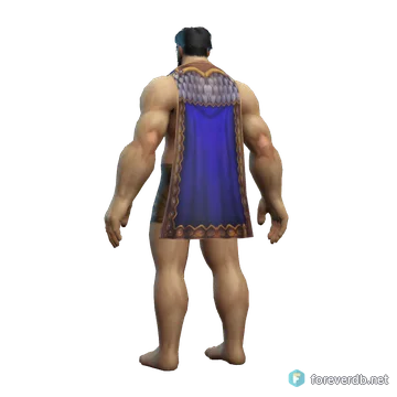 Defender Cloak worn by a human male, rendered from the Forever client