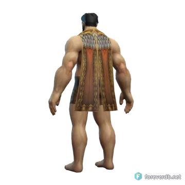 Combat Cloak worn by a human male, rendered from the Forever client