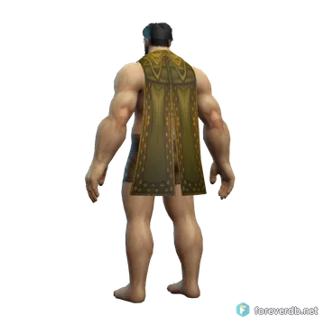 Crusader's Cloak worn by a human male, rendered from the Forever client