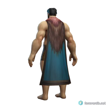 Windchaser Cloak worn by a human male, rendered from the Forever client