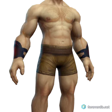 Hero's Bracers worn by a human male, rendered from the Forever client