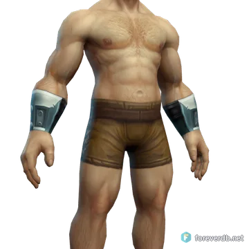 Heroic Bracers worn by a human male, rendered from the Forever client