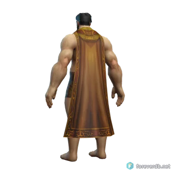 Wanderer's Cloak worn by a human male, rendered from the Forever client