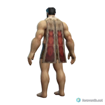 Warden's Cloak worn by a human male, rendered from the Forever client