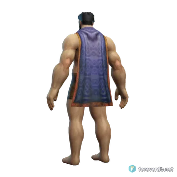 Sorcerer Cloak worn by a human male, rendered from the Forever client