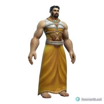 Elegant Robes worn by a human male, rendered from the Forever client