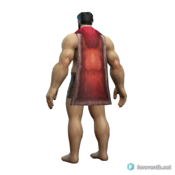 Battle Healer's Cloak worn by a human male, rendered from the Forever client