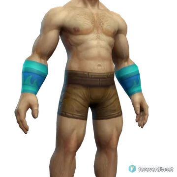 Icebane Bracers worn by a human male, rendered from the Forever client