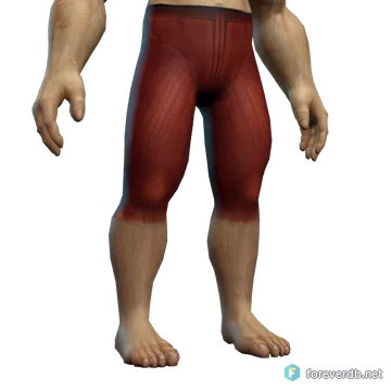 Felcloth Pants worn by a human male, rendered from the Forever client