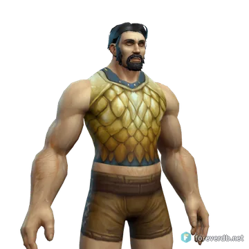 Acolyte's Chain Shirt worn by a human male, rendered from the Forever client