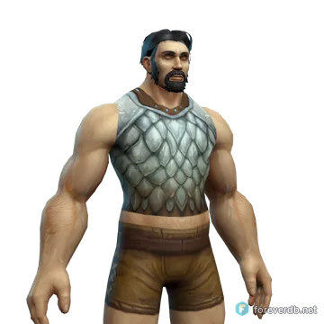 Crusader's Silvered Chain Shirt worn by a human male, rendered from the Forever client