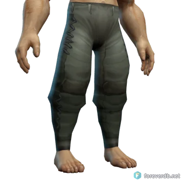 Stormrider's Leather Pants worn by a human male, rendered from the Forever client
