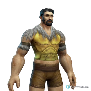 Wisdom's Leather Armor worn by a human male, rendered from the Forever client