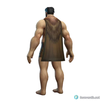 Geomancer's Cloak worn by a human male, rendered from the Forever client